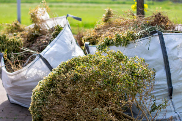 Yard Cleanup Services in Heyburn, ID